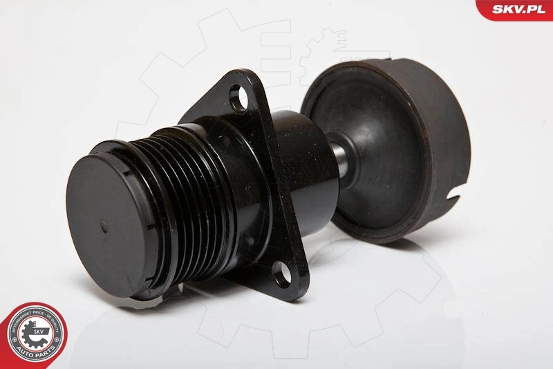 Alternator Freewheel Clutch